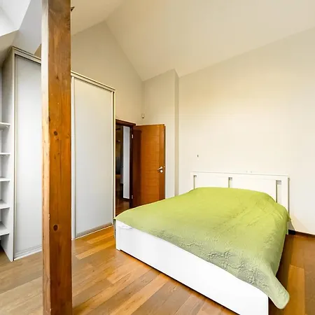 Stylish Mansard In Quite Center * ריגה