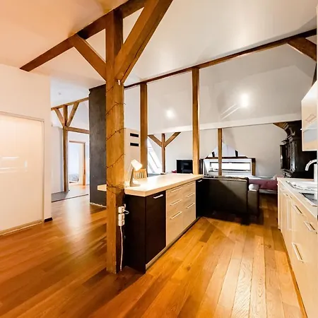 Stylish Mansard In Quite Center * 리가