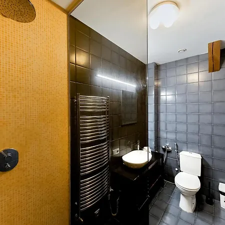 아파트 Stylish Mansard In Quite Center 리가
