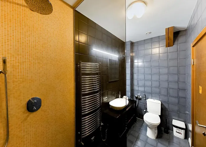 Apartment Stylish Mansard In Quite Center Riga